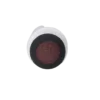 Eye Brow Stamp