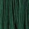 Green-Galaxy.jpg ELECTRIC COLOR VIBES LOOK
