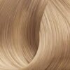 Ash 101 Very Very Light Blond Ash Xantho Poly Poly Anoichto Santre.jpg