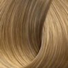 Beige 1031 Very Very Light Honey Blond Xantho Poly Poly Anoichto Mpez.jpg