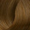 Chocolate Coffee 832 Light Blond Maroon Xantho Anoichto Maron.jpg