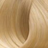 Cool Beige 1013 Very Very Light Blond Cool Beige Xantho Poly Poly Anoichto Psychro Mpez.jpg