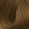 Golden Honey 673 Dark Blond Xantho Ntore.jpg