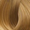 Golden Honey 93 Very Light Golden Blond Xantho Poly Anoichto Ntore.jpg