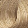 Naturals 10 Very Very Light Blond Xantho Poly Poly Anoichto.jpg