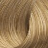 Naturals 9 Very Light Blond Xantho Poly Anoichto.jpg