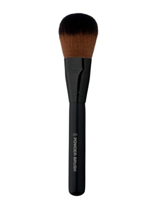 200 Powder Brush 2.jpg