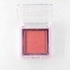 Blush20compacto20new.jpg