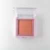 Blush20compacto20new 2.jpg