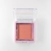 Blush20compacto20new 5.jpg