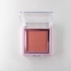 Blush20compacto20new 6.jpg